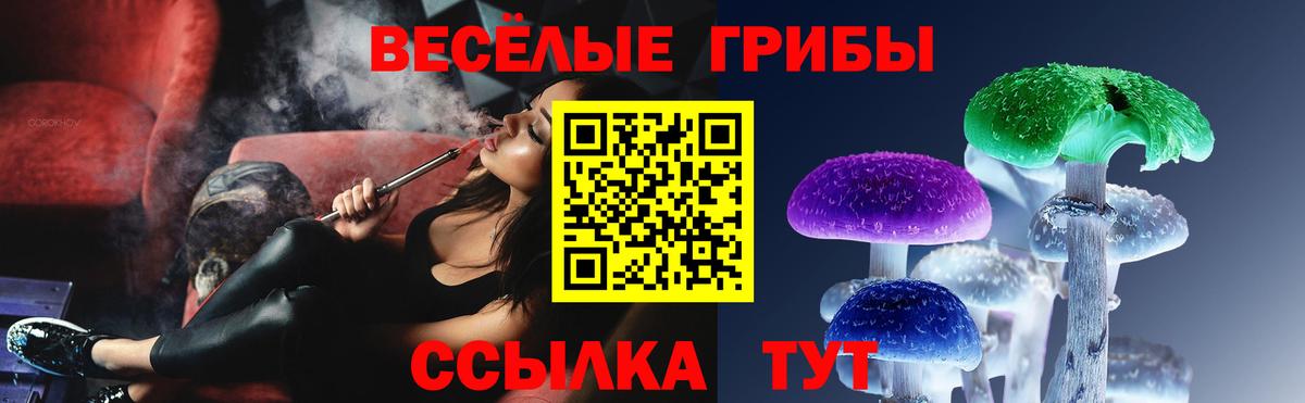 Псилоцибиновые грибы GOLDEN TEACHER  Вход с VPN  Урюпинск 